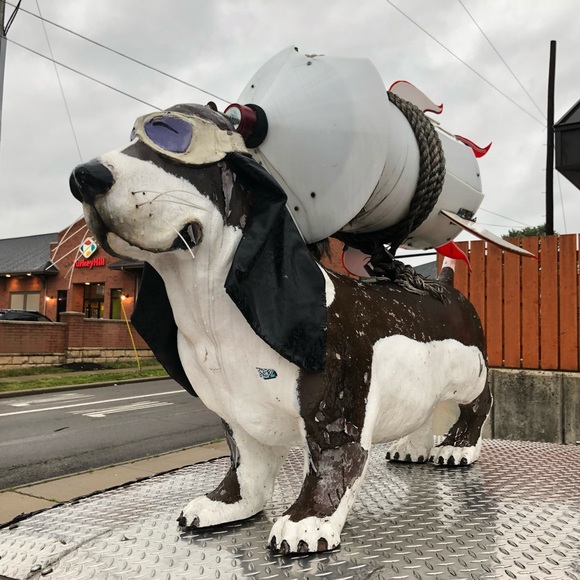 Meet your Posher, James - Picture 1 of 1